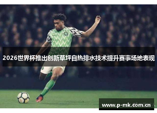 2026世界杯推出创新草坪自热排水技术提升赛事场地表现 2026世界杯推出创新草坪自热排水技术提升赛事场地表现
