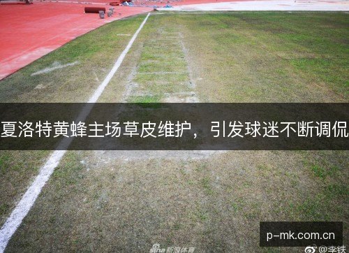 夏洛特黄蜂主场草皮维护,引发球迷不断调侃 夏洛特黄蜂主场草皮维护,引发球迷不断调侃